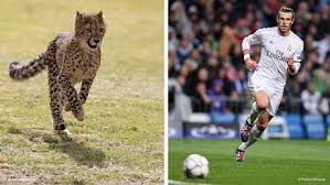 منتخب ويلز تحت 20 سنة لكرة القدم ( بالإنجليزية: ÙŠÙˆØ±Ùˆ 2016 ÙÙˆØ² Ù…Ù†ØªØ®Ø¨ ÙˆÙŠÙ„Ø² Ø¹Ù„Ù‰ Ù†Ø¸ÙŠØ±Ù‡ Ø§Ù„Ø³Ù„ÙˆÙØ§ÙƒÙŠ Ø¨Ù‡Ø¯ÙÙŠÙ† Ù„Ù‡Ø¯Ù Ø±ÙŠØ§Ø¶Ø© ØªÙ‚Ø§Ø±ÙŠØ± ÙˆØªØ­Ù„ÙŠÙ„Ø§Øª Ù„Ø£Ù‡Ù… Ø§Ù„Ø£Ø­Ø¯Ø§Ø« Ø§Ù„Ø±ÙŠØ§Ø¶ÙŠØ© Ù…Ù† Dw Ø¹Ø±Ø¨ÙŠØ© Dw 11 06 2016