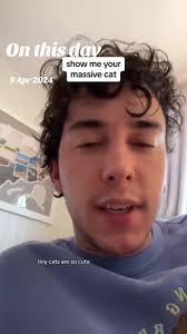 Dave Cat Update 2024