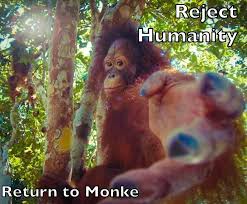 Reject Humanity Return To Monke Return To Monke Memes Rejection Know Your Meme