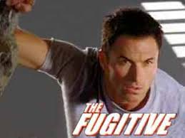 The Fugitive (2000) (an Episode Guide)
