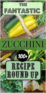 Family Food Garden Best Zucchini Recipes Recipes Veggie Dishes