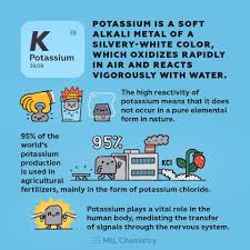 Potassium Plays A Vital Role In The Human Body Mediating The Transfer Of Signals Through The Nervous Chemistry Education Chemistry Lessons Chemistry Classroom