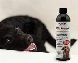 How do dogs get ear mites? Mite Avenge Kills Mites And Cures Mange Naturally