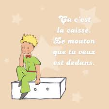 Ça c'est la caisse. Le mouton que tu veux est dedans." 🐑