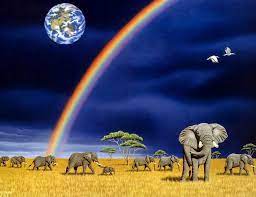 Paintings Art Prints Painting Elephant Wallpaper
