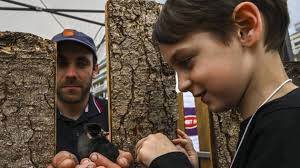 Une ferme en plein centre du Mans : « J'ai appris à traire les vaches ! »