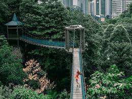 The company has secured approximately 8,000 acres of the company's eco forest is approximately 510 acres enclave is a green wonderland anchored by a central park and soothing lakes. Kl Forest Eco Park Everything You Need To Know Couple Travel The World