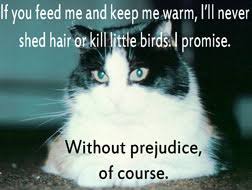 Without Prejudice Definition