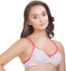 Groversons Paris Beauty Seamless High Coverage Bra Ava