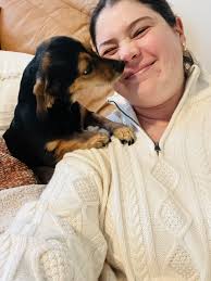 Dakota Half Zip Sweater by Splendid