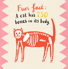 Shop online for this cute book crazy cat lady coloring book. Crazy Cat Lady Book Agnes Loonstra