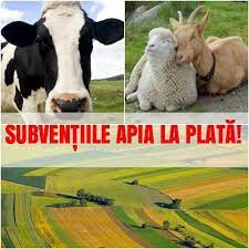 Check spelling or type a new query. Comunicat Apia De AstÄzi Pentru ToÈi Fermierii Èi CrescÄtorii De Animale Agroinfo Ro