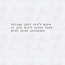Emmylou First Aid Kit Cool Lyrics Song Quotes Words