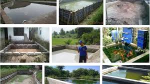 Tetapi, model kolam dengan sistem yang. Tahapan Membuat Kolam Ikan Gurame Lengkap Dengan Gambar