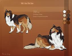 Sr Rough Collie Kina Dog Design Art Rough Collie Canine Art