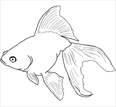 How betta fish came to have their colors today can be answered with several hundred years of selective breeding. Coloring Pages Betta Fish Colouring