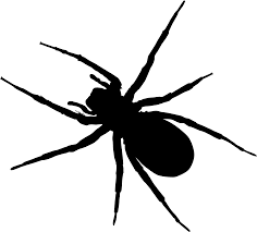 Download Svg Royalty Free Download Man Clip Art Transprent Png Ant Clipart Transparent Background Png Image With No Background Pngkey Com Explore the latest collection of white abstract wallpapers, backgrounds for powerpoint, pictures and photos in high resolutions that come in different sizes to fit your desktop perfectly and presentation templates. ant clipart transparent background png