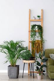 Room With Wood Ladder With House Plants Edge Of Chair To Right With More Plants On The Floor In 2020 Low Light House Plants House Plants Indoor House Plants