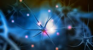 Maybe you would like to learn more about one of these? Covid 19 Bisher Keine Hinweise Auf Guillain Barre Syndrom