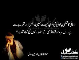 Pin By Rj Arsal On Waqt Ke Awraaق Rumi Quotes Life Rumi Quotes Deep Words