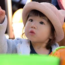 Glenview, Northbrook farmers markets reflect