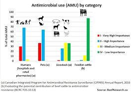 Antimicrobial Resistance Beef Cattle Research Council