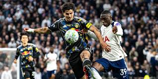'Brighton betaalt 23 miljoen euro voor Nederlandse opvolger Van Hecke'
