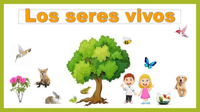 Los seres vivos | PDF