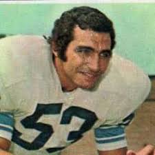 The 65+ Best NFL Cleveland Browns Linebackers, Ranked