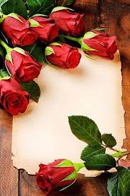 R E D Rose Rosse Cornice Di Fiori Margherite