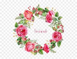 Rose, flower, bunga, pink, nature, summer. Background Bunga Vector Pink Hd Png Download Vhv