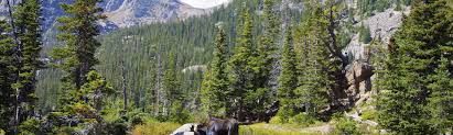 Read 121 reviews of estes park in carrboro, nc to know before you lease. Top 20 Estes Park Co Cabin Rentals Vrbo