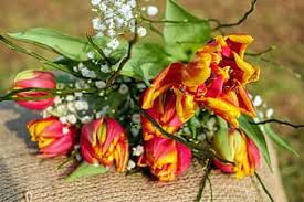 Maybe you would like to learn more about one of these? Page 5 Royalty Free Colorful Flower Bouquet Photos Pikist