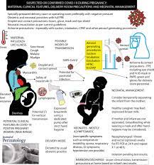 Perinatal Aspects On The Covid 19 Pandemic A Practical Resource For Perinatal Neonatal Specialists Journal Of Perinatology