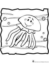 Cute jellyfish coloring pages, jellyfish are animals that live in the ocean depths, the jellyfish do not have any sort of planton bone, shaped like a transparent spongebob jellyfish coloring pages for colored. Jellyfish Coloring Page Coloring Home