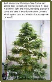Maybe you would like to learn more about one of these? Funny Weed Cannabis Marijuana Xmas Tree Refrigerator Tool Box Magnet Ebay