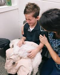 family says goodbye to senior dog