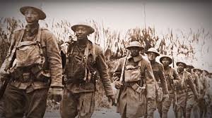 Image result for Priming Green 1918 Military