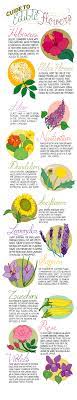 This way you can be sure. Edible Beauties Illustrated Bites