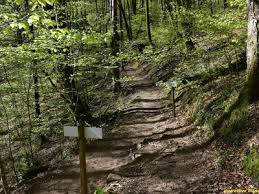 Wikiloc | Ruta Oteixon ( Circular desde el Señorío de Bertiz con ascenso  por Narvarte y descenso por Suspiro )