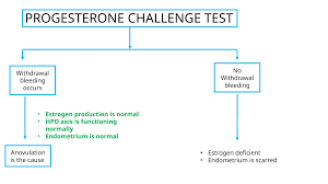 Image result for Progesterone Challenge Test