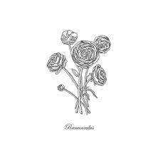 62 Ranunculus Flower Tattoo