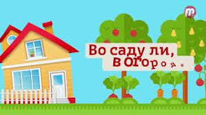 во саду ли в огороде юлия миняева посадка чеснока Vo Sadu Li V Ogorode 8 05 2020 Youtube