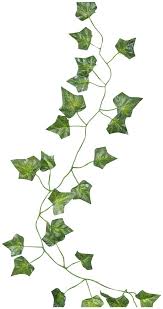 Meiliy 12pcs 84ft Ivy Garland Fake Ivy Leaves Artificial Ivy Greenery Garland Hanging Vine Plant For Wedding Party Garden In 2021 Plant Leaves Plants Poison Ivy Plants