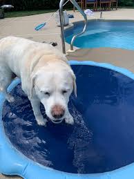Splash pad Saturday with this guy. 💛💛💛💛