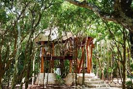 Papaya Playa Project By Design Hotels Treehouse Hotel Beachfront Hotels Tulum