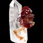 Uvite on Quartz - THUMB1320 - Brumado - Brazil Mineral Specimen