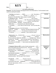 For this biology worksheet, students read about the mechanism of photosynthesis to answer 43 short answer questions. Cell Coloring Worksheet Answers Template Library