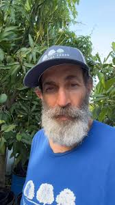 🥭 Most mangos in stores come from other countries — not the U.S. But here  in South Florida, we have hundreds of amazing varieties picked at peak  ripeness. I just had my