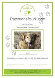 Grundsätzlich werden langfristige patenschaften erwünscht. Tierheim Kreis Ahrweiler Remagen